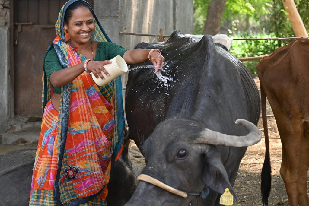 Surabhi (Integrated Animal Health Care Center – Roha)