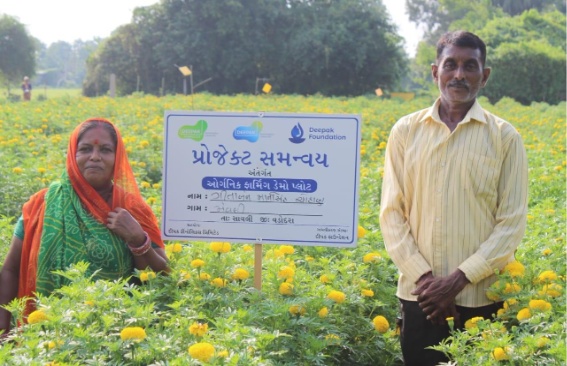 Journey of Chauhan Gitaben Ramsinghbhai (A good effort always pay off)​